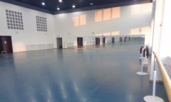 沈阳市浑南新区沈阳歌舞团舞蹈香蕉成人在线视频